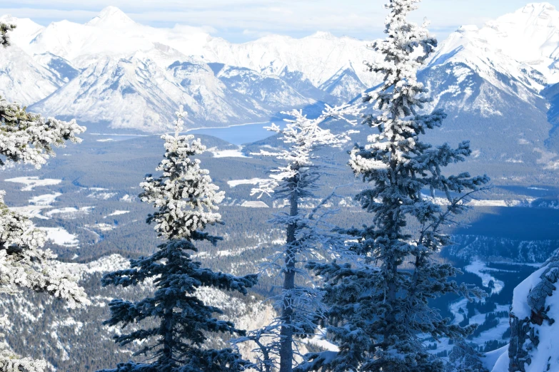 some snow trees and a bunch of mountains