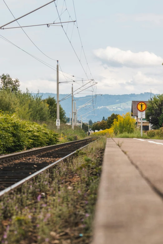 a train track near a sidewalk and forest