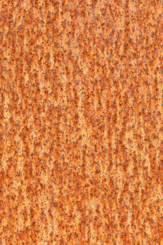 a textured wall in an orange hue shows tiny brown circles