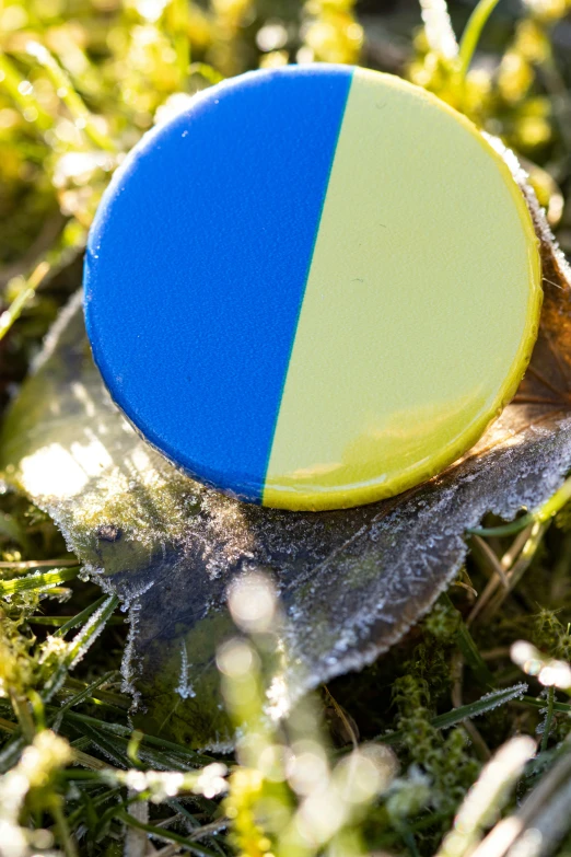a single colored plastic disk lies on the grass