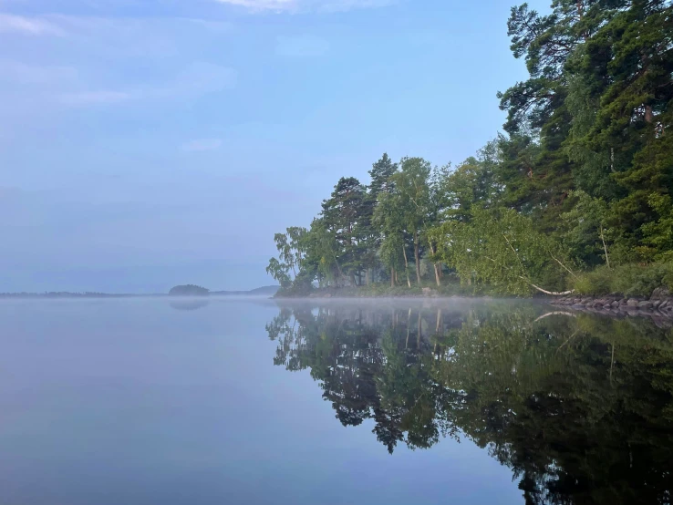 trees and fog in the water on a clear day