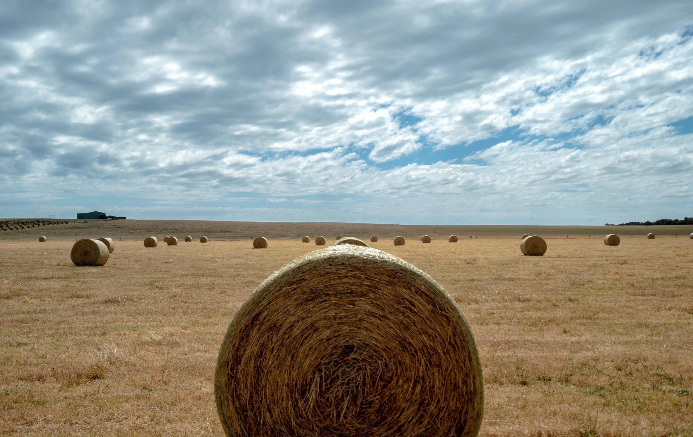 bales of hay sitting in an empty field