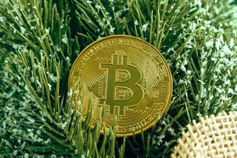 a bit coin sitting on top of a green plant