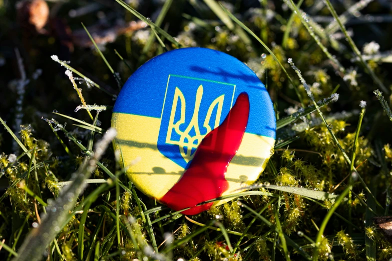 a closeup po of a frisbee in the grass