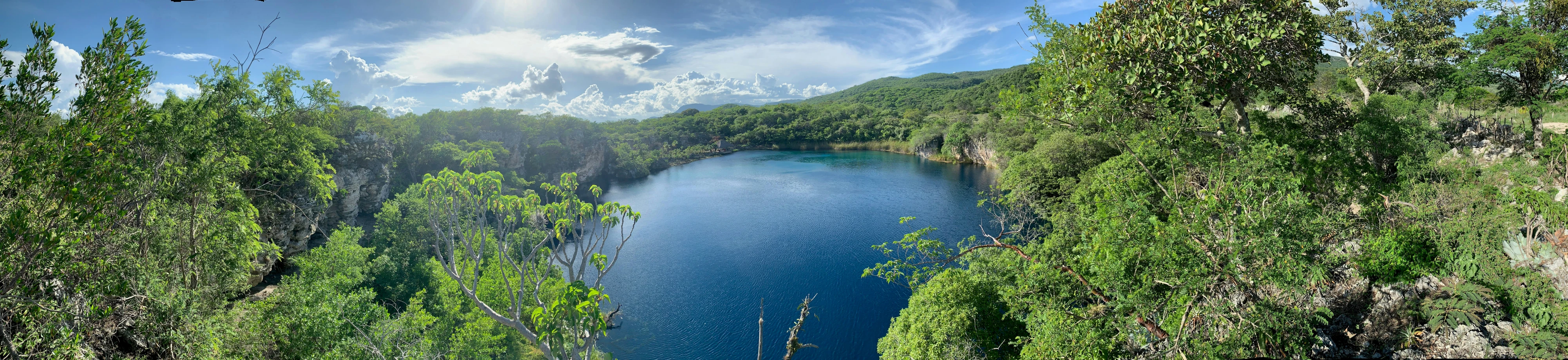 trees, clouds and water in the forest