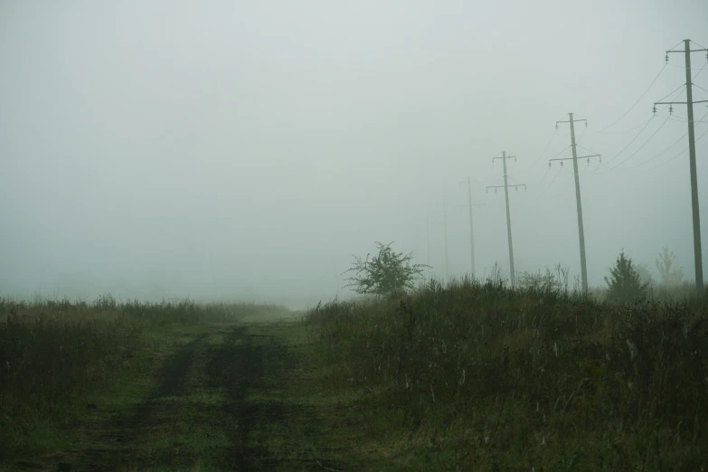 a person walking down a road on a foggy day