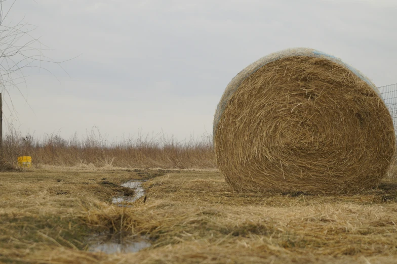 a field with some large bales of hay