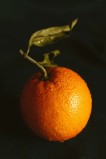 an orange sitting on top of a black table