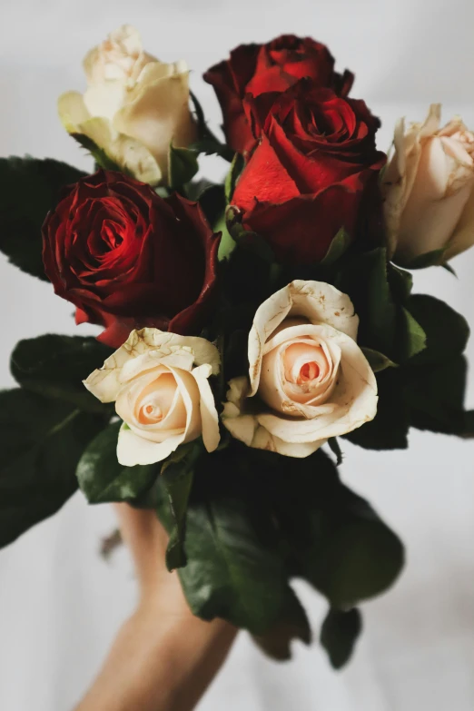 a hand holding a bouquet of roses in red and white