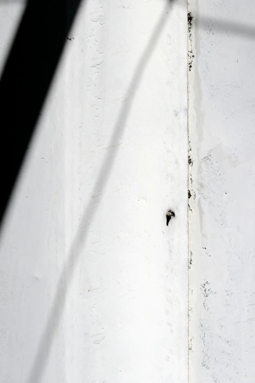 a black bird is perched on the side of a wall