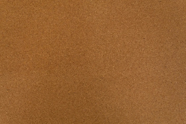 a brown sandy surface with little light brown dots