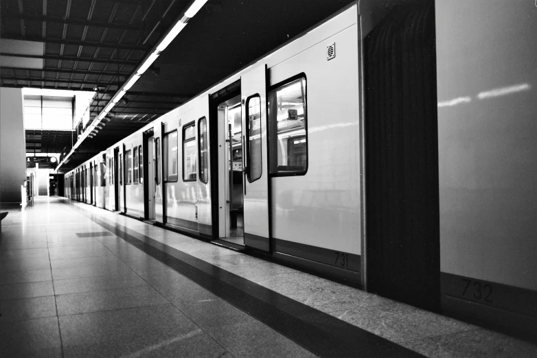 train with doors opened parked at a station