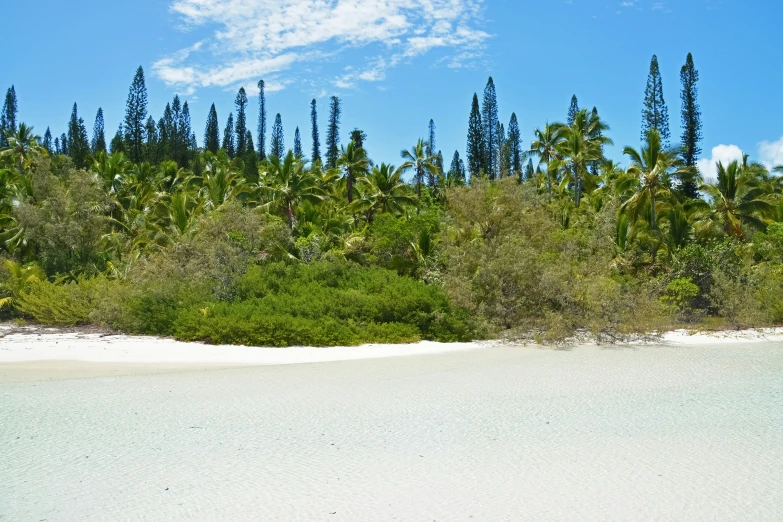 an empty sandy beach next to the ocean