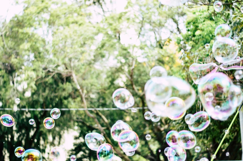 soap bubbles floating in front of trees on a clear day