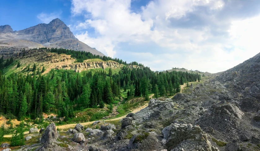 a view of some mountains with trees growing on the slopes