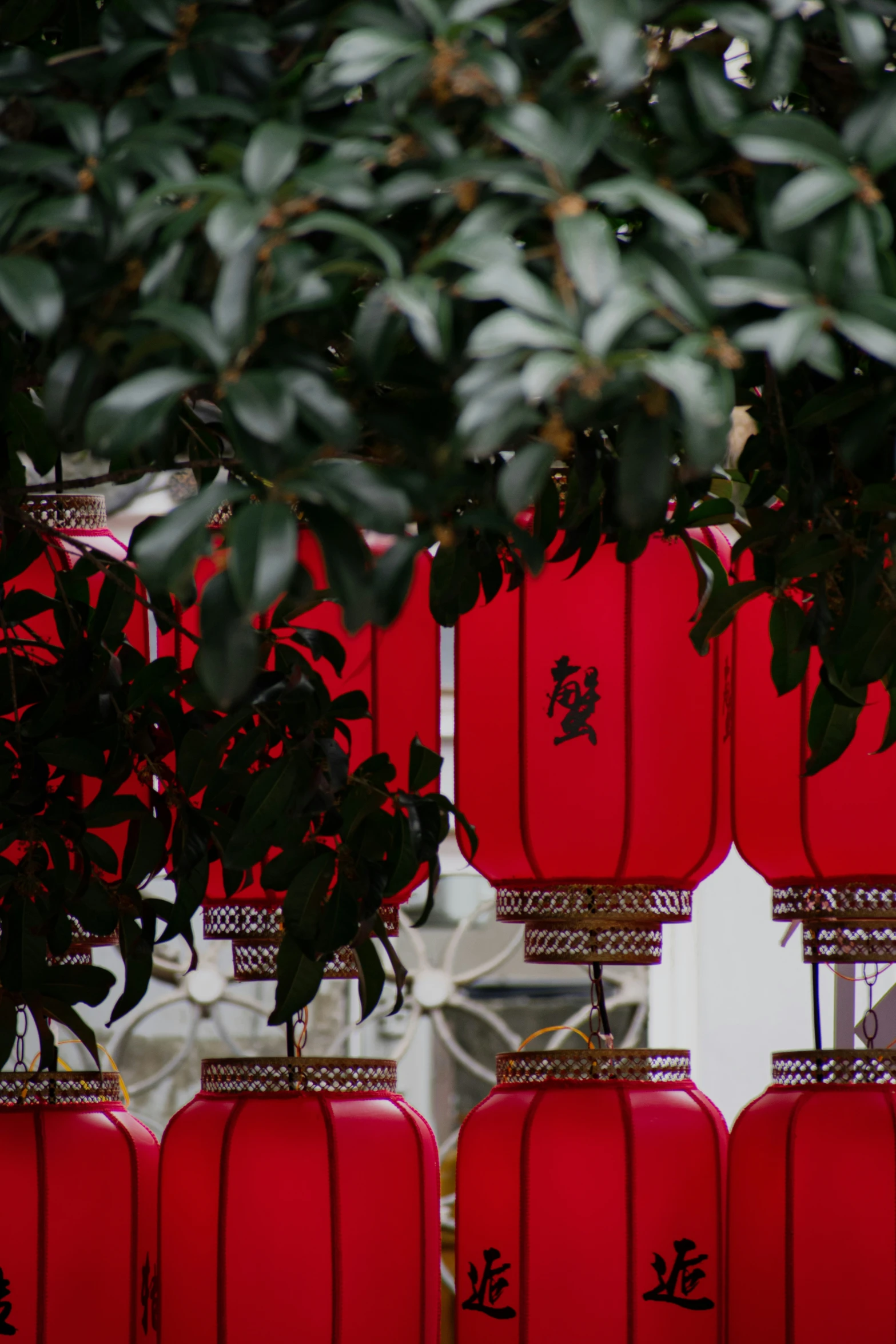 chinese lanterns are shown in red on a sunny day