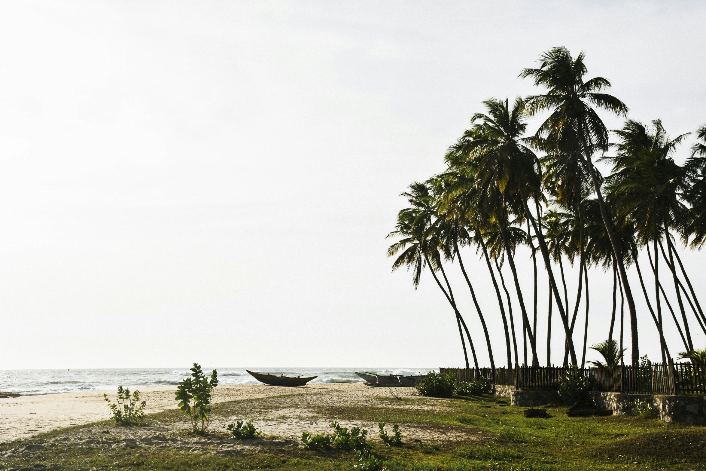 a small hammock by a grassy beach