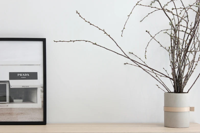 vase with twigs in front of a wall - mounted polaroid po