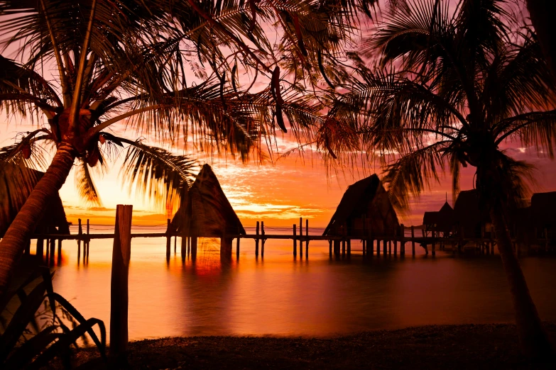 a sunset view with palm trees and huts