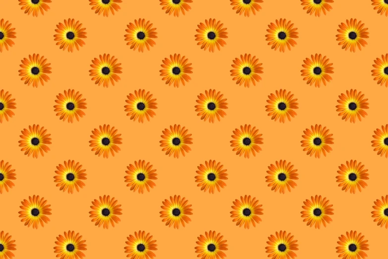 the orange background is filled with yellow and black sunflowers