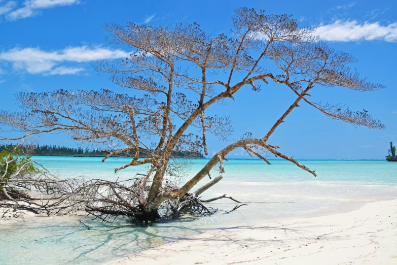 an ocean with white sand and blue skies