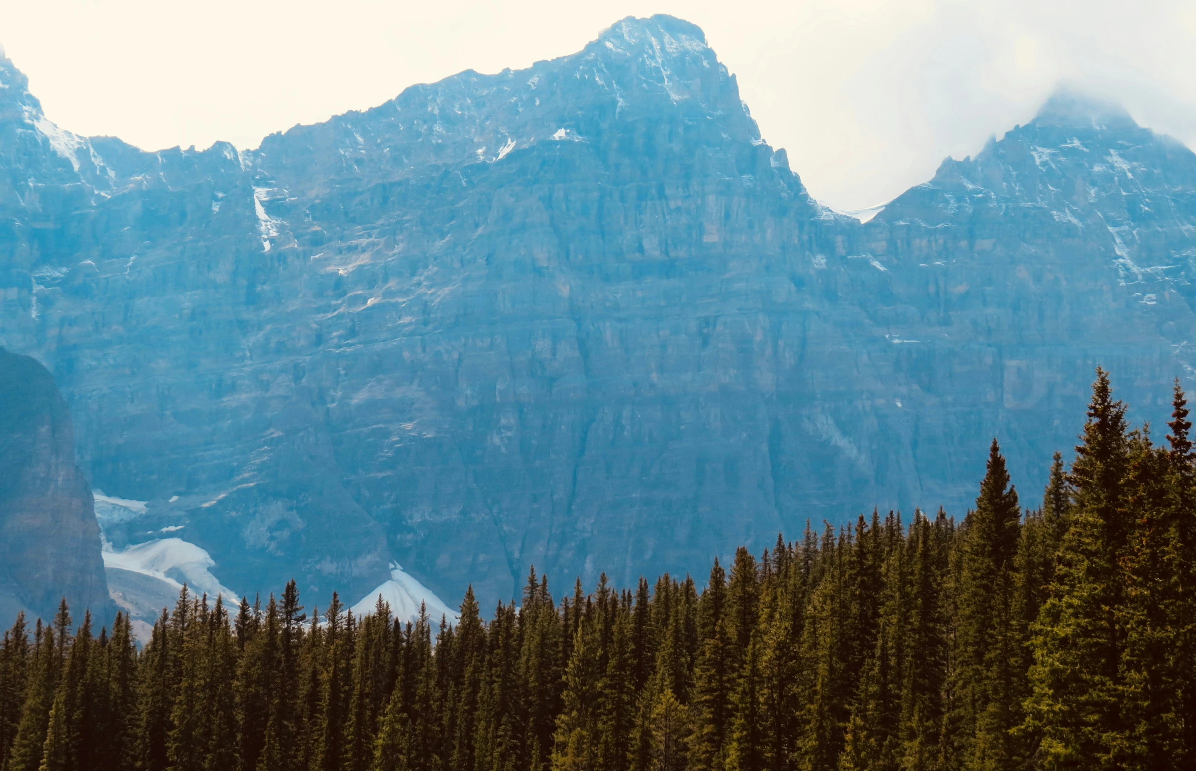 a snow covered mountain with tall pine trees in the foreground