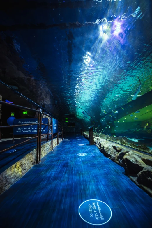 an underwater tunnel with a walkway and glass railing