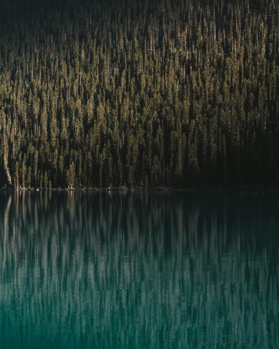 an almost empty boat in a still body of water surrounded by trees