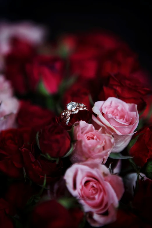a wedding ring laying on roses in the background
