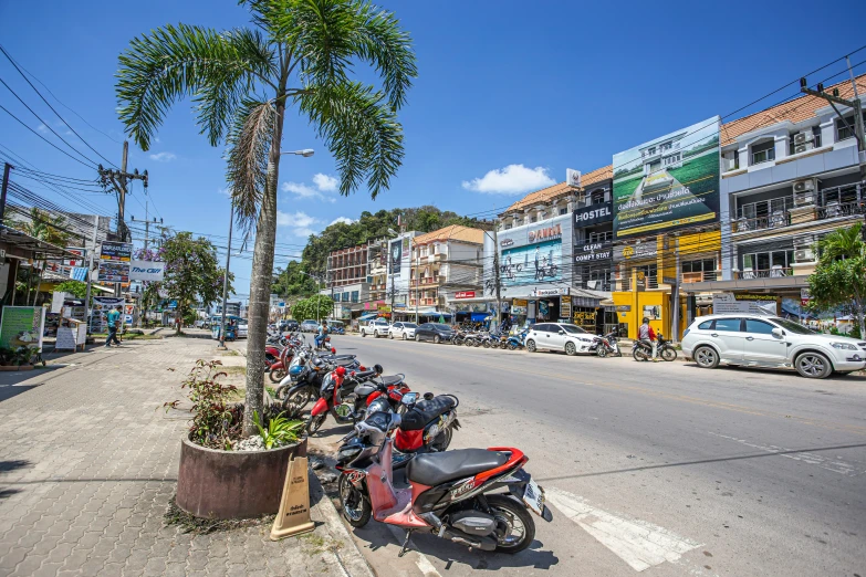 a row of parked motorcycles next to each other near palm trees