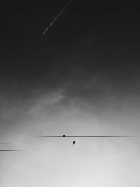 a dark colored sky with a line in the foreground and birds sitting on the power lines