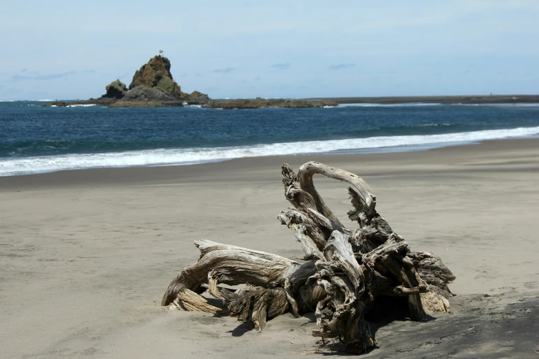 a small driftwood that is sticking out of the sand