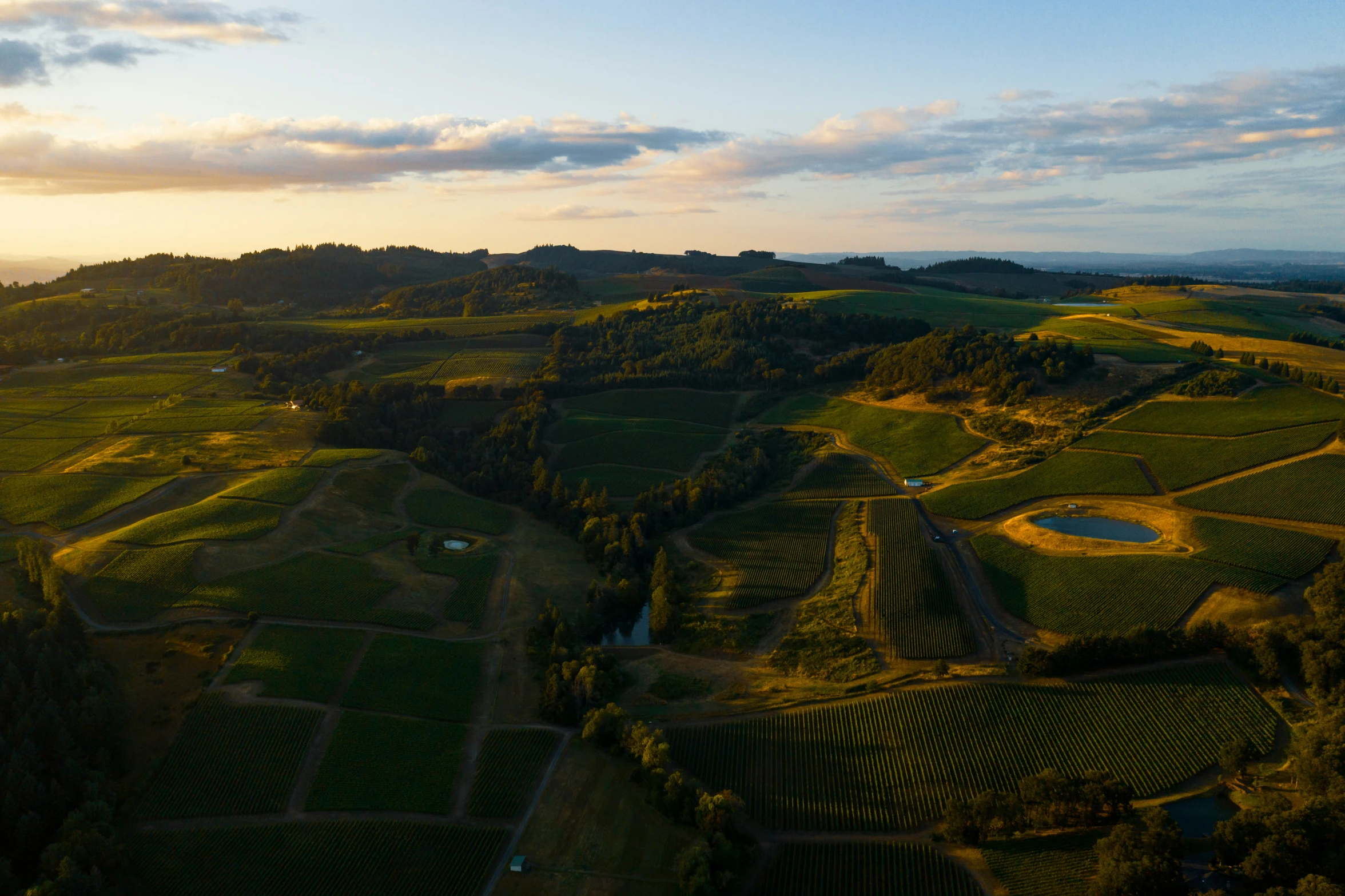 an aerial view of crops and a scenic area