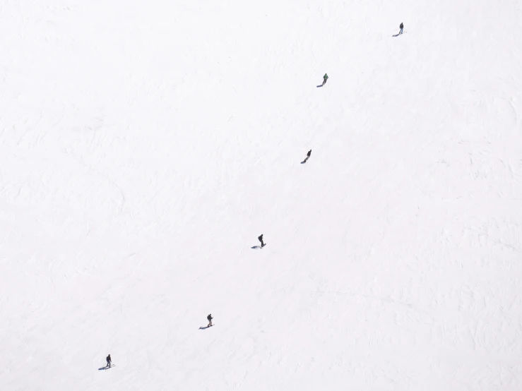 several people cross country skiing on a mountain side