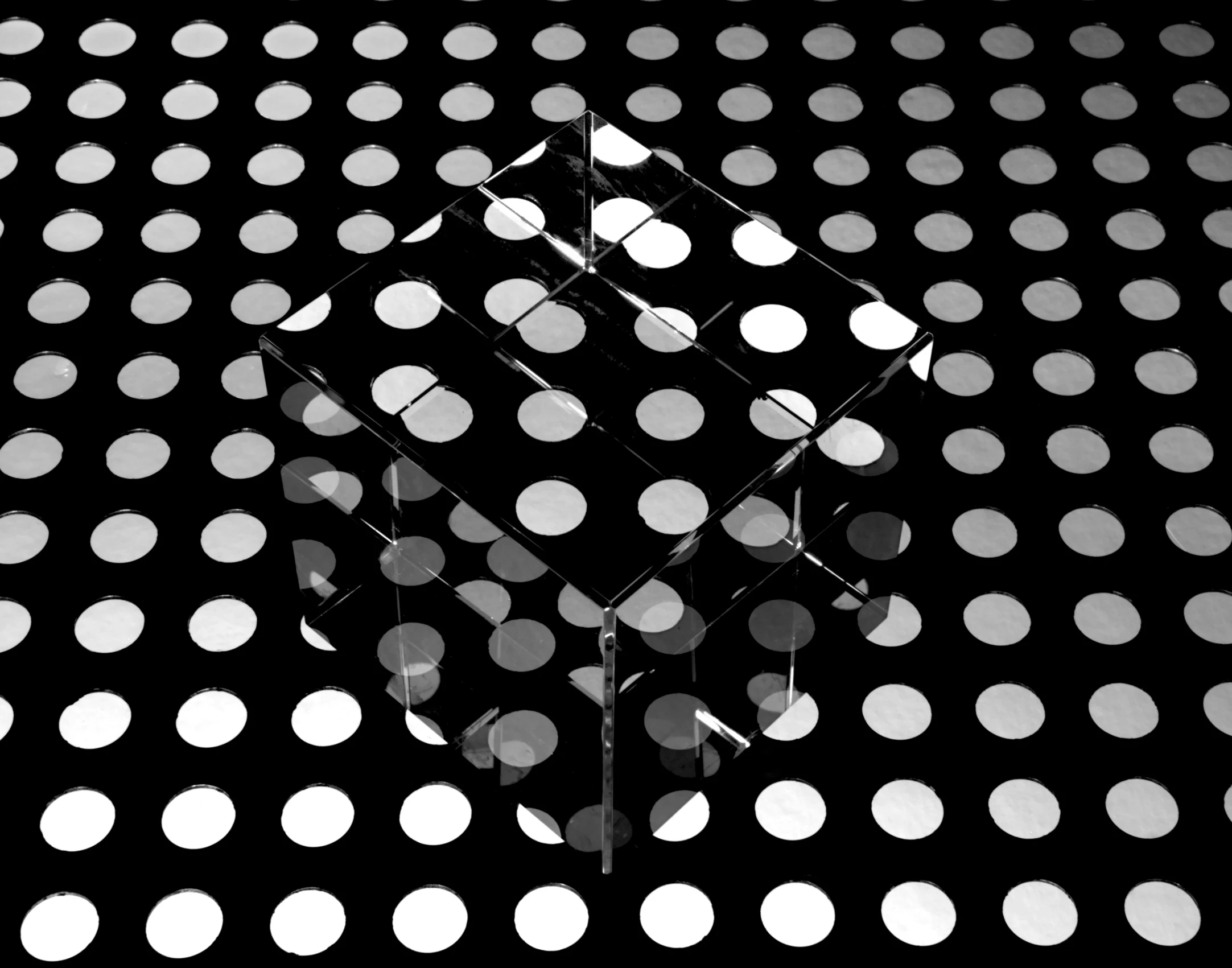 white polka dots are in front of a black background