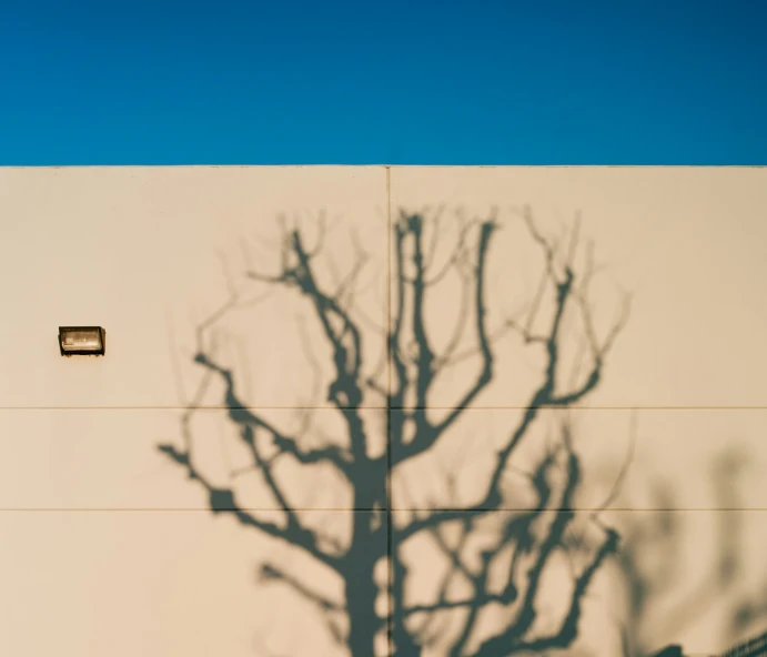 a white building with a tree casting a shadow