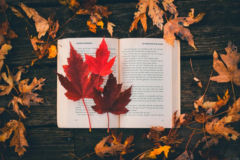 book and leaves on wooden table with text