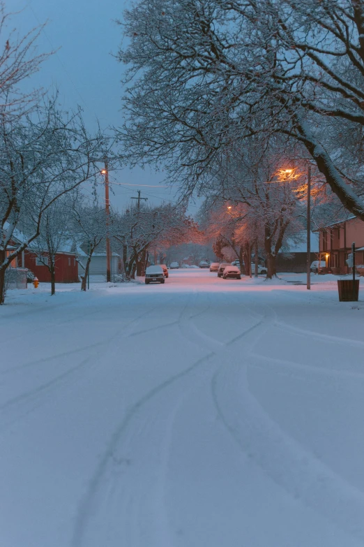 a snow covered road with trees and street lamps