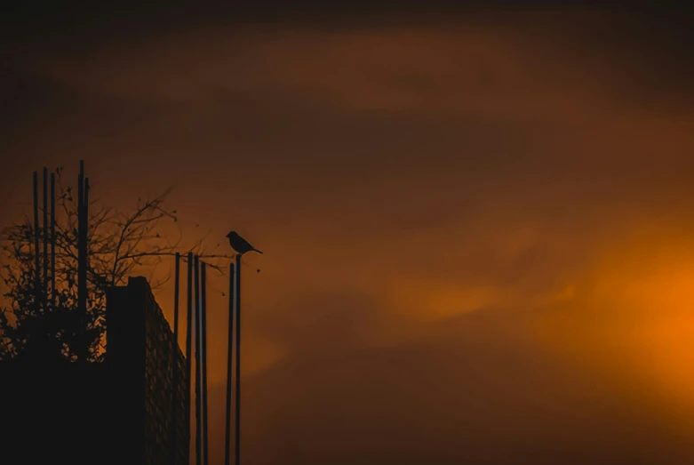 a lone bird sitting on top of a fence on a dark cloudy day