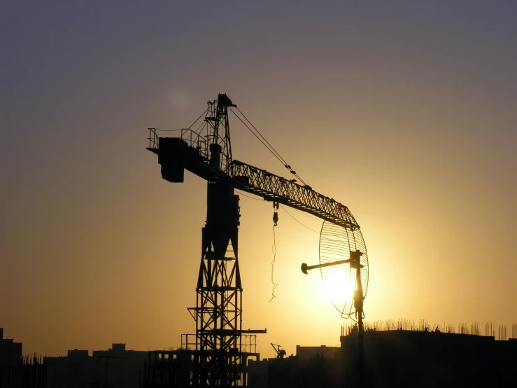 the silhouette of a crane against the sun