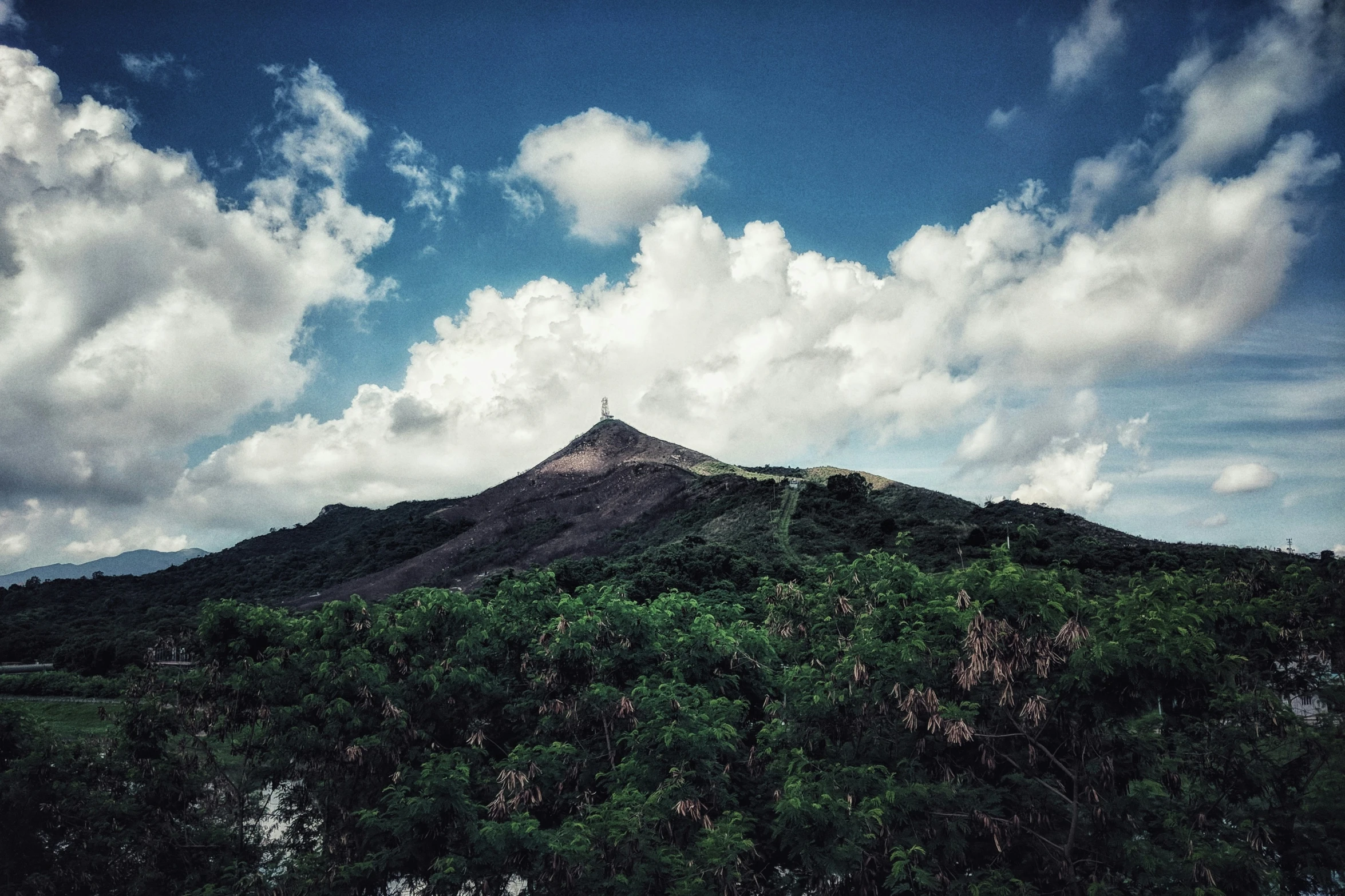 there is a large mountain with many trees on the foreground