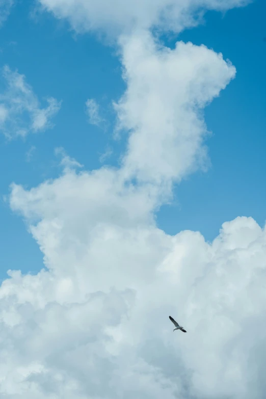 an eagle flying in the sky near clouds