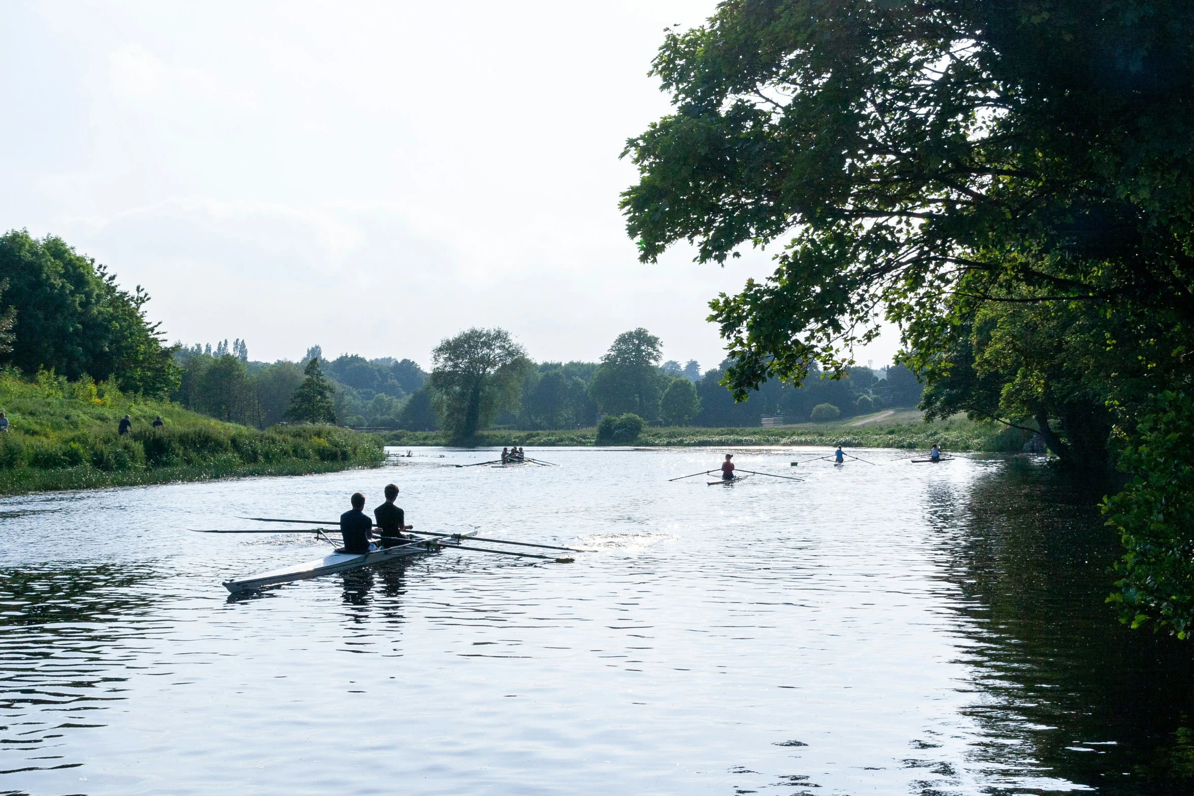 several canoers are on the water with their oars