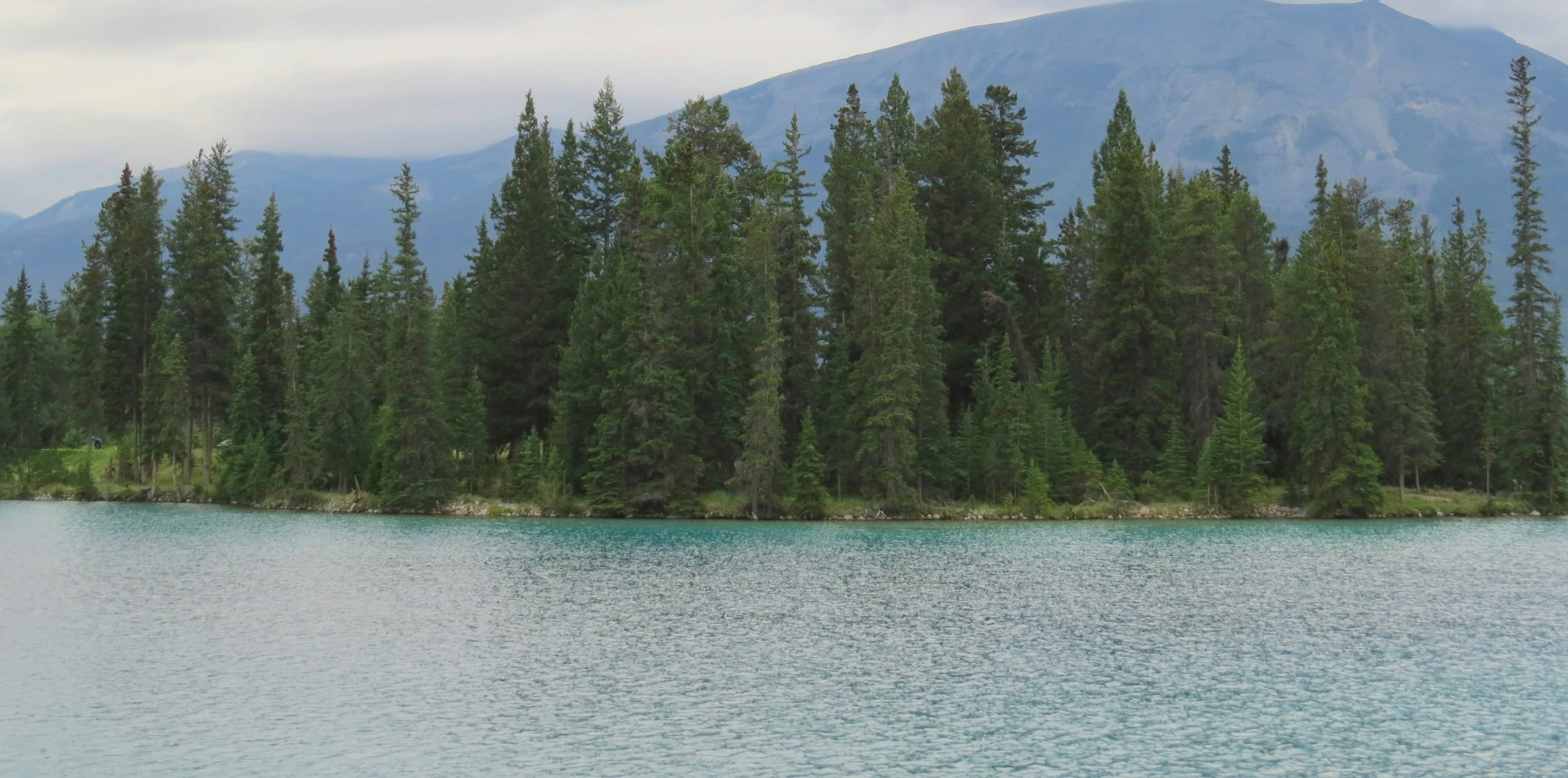 the view of trees and the mountains from the water