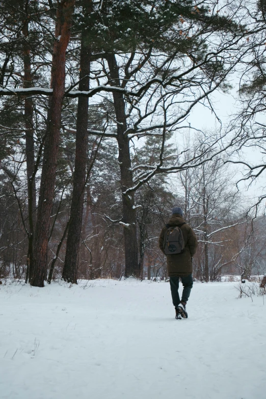 the person is walking in the snow by some trees