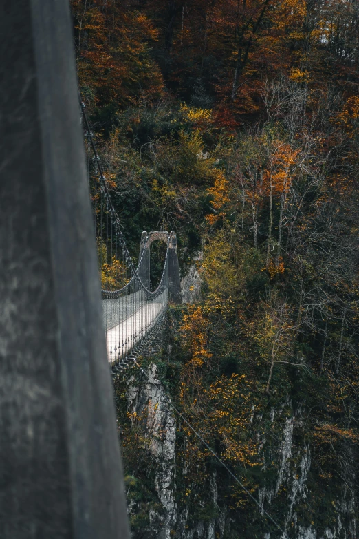 an aerial view of a park walkway in the fall