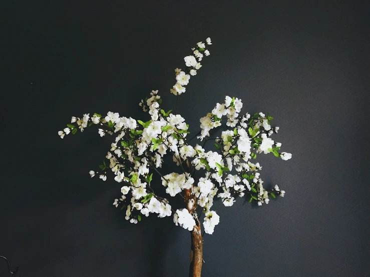 a flower pot filled with flowers and sitting on top of a table