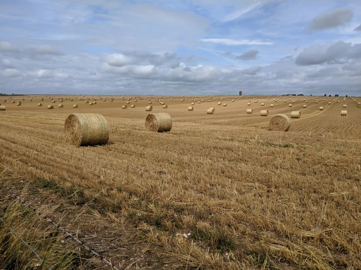 there are many large round hay bales