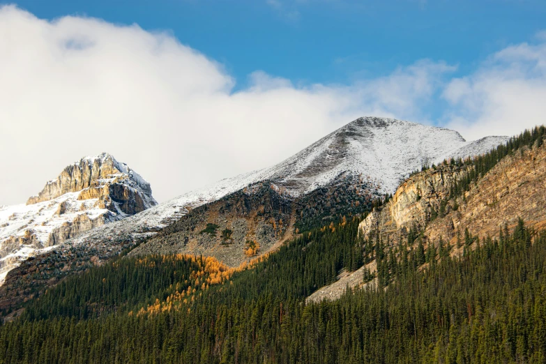 a forest with two mountains in the background