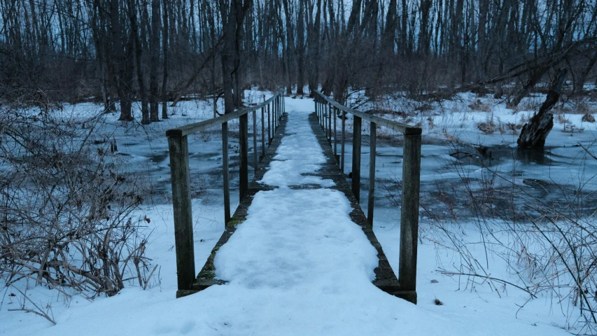 a trail in the woods with snow on it